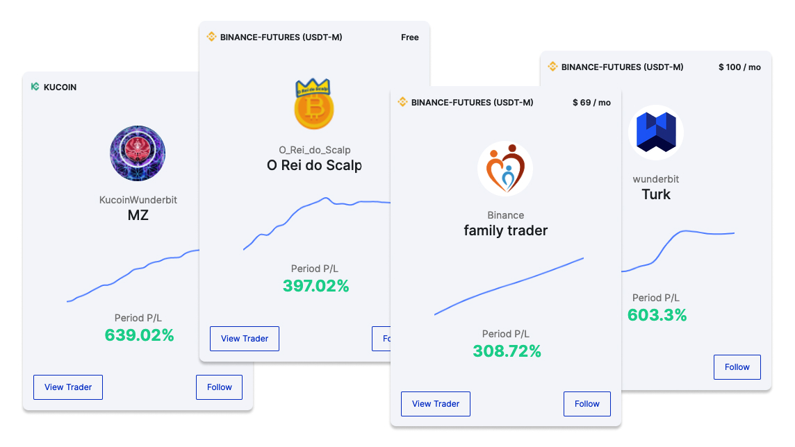 Copy trading master dashboard with win rates and profit statistics